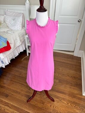 J. Crew Factory Pink Ruffle Sleeve Mini Dress